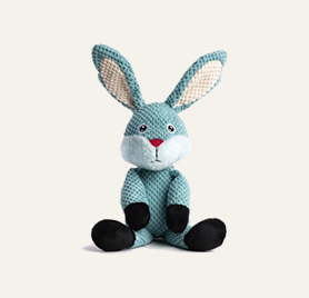 Image Not Found